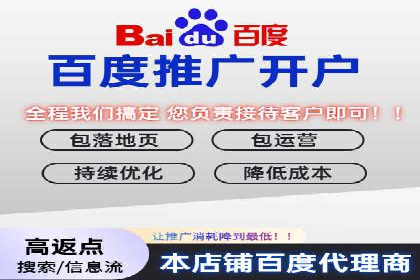 行业领先企业的SEM广告策略与效果分析